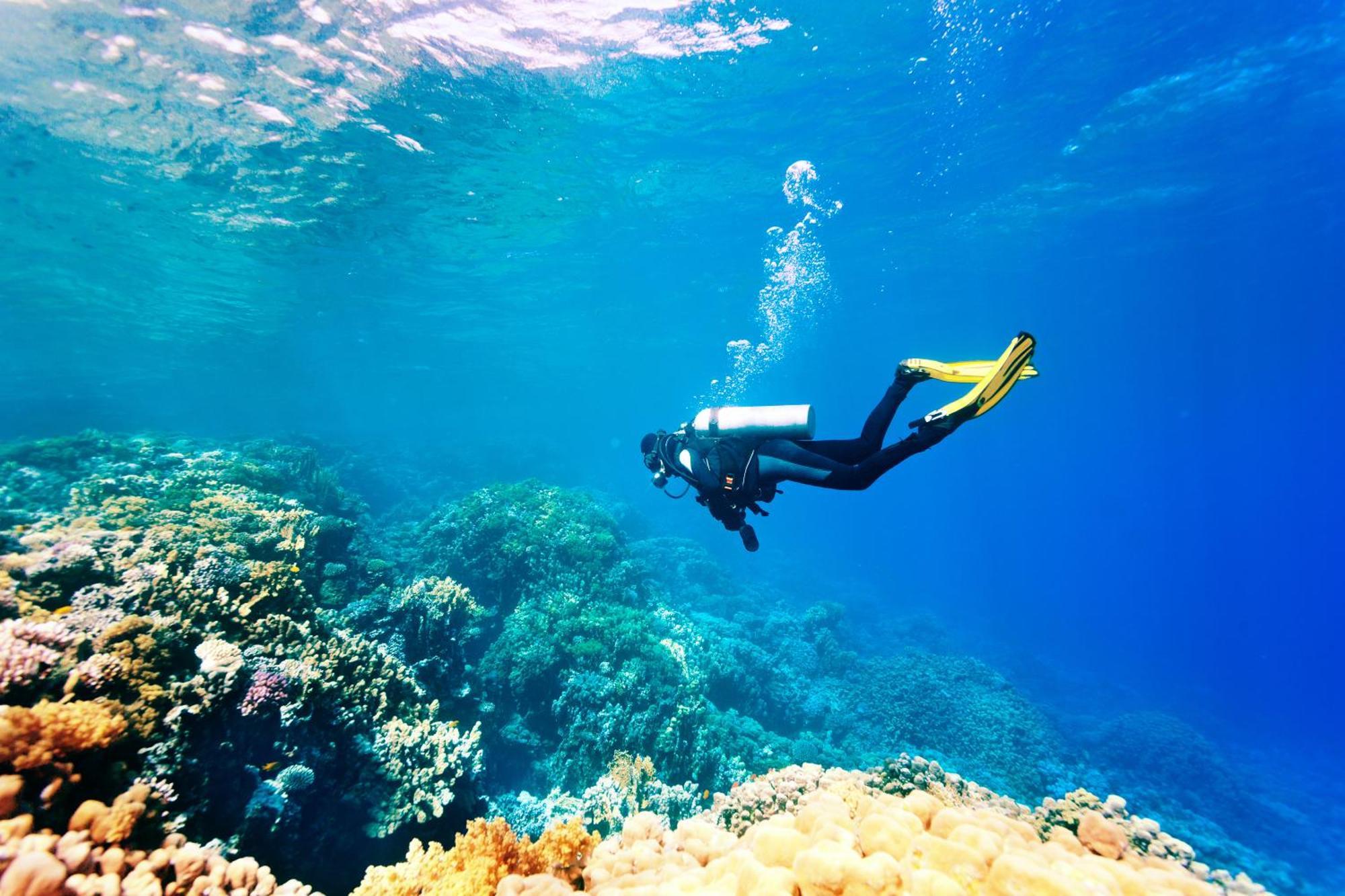 Dormio Bonaire Village المظهر الخارجي الصورة