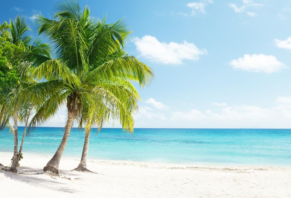 Dormio Bonaire Village الغرفة الصورة